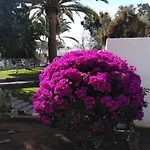 Peaceful And Private With Terrace *