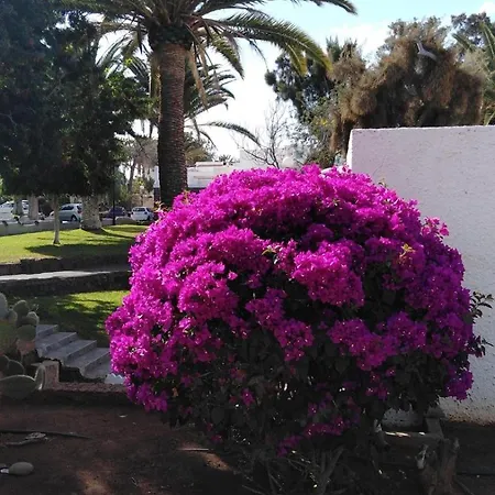 Peaceful And Private With Terrace *