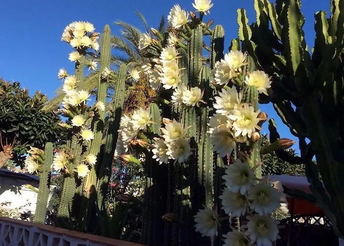 Peaceful And Private With Terrace أرونا