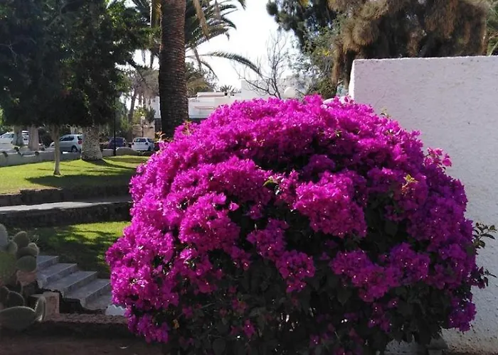 Peaceful And Private With Terrace *