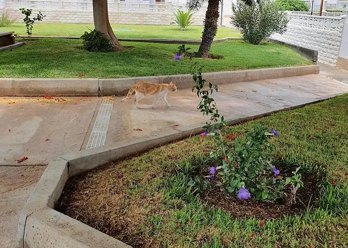 Peaceful And Private With Terrace شاليه