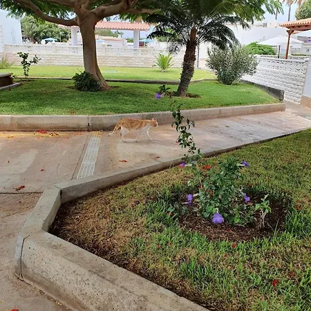 Peaceful And Private With Terrace 샬레